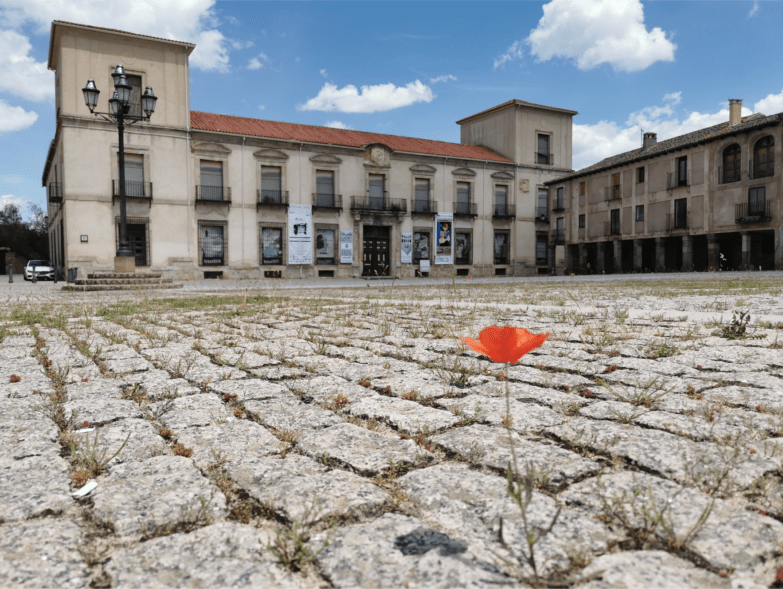 El Palacio Ducal, sede de la Fundación DEARTE