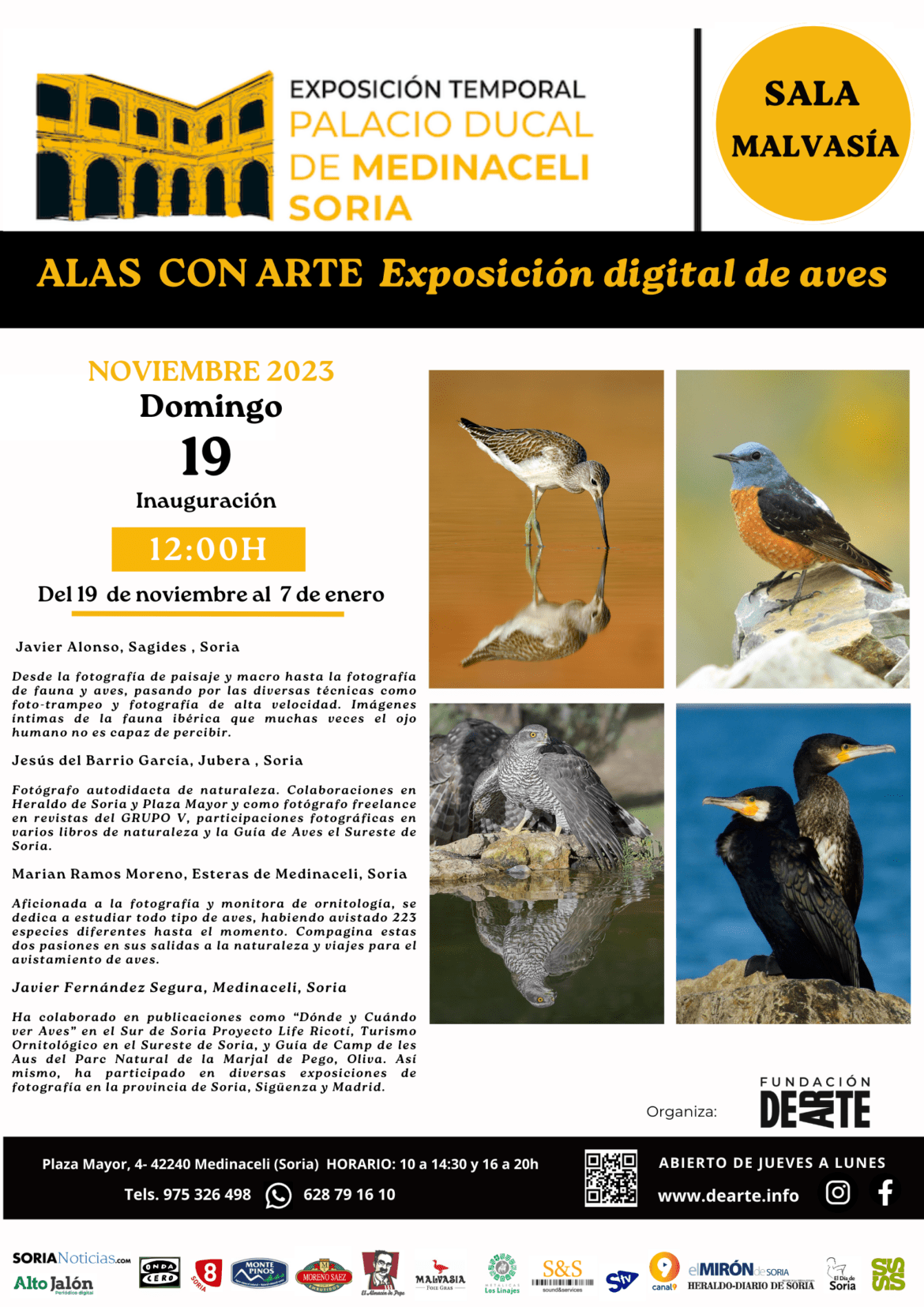 EXPOSICIÓN “ALAS CON ARTE”. Exposición Digital de Aves. ACTUALMENTE EXPUESTA.