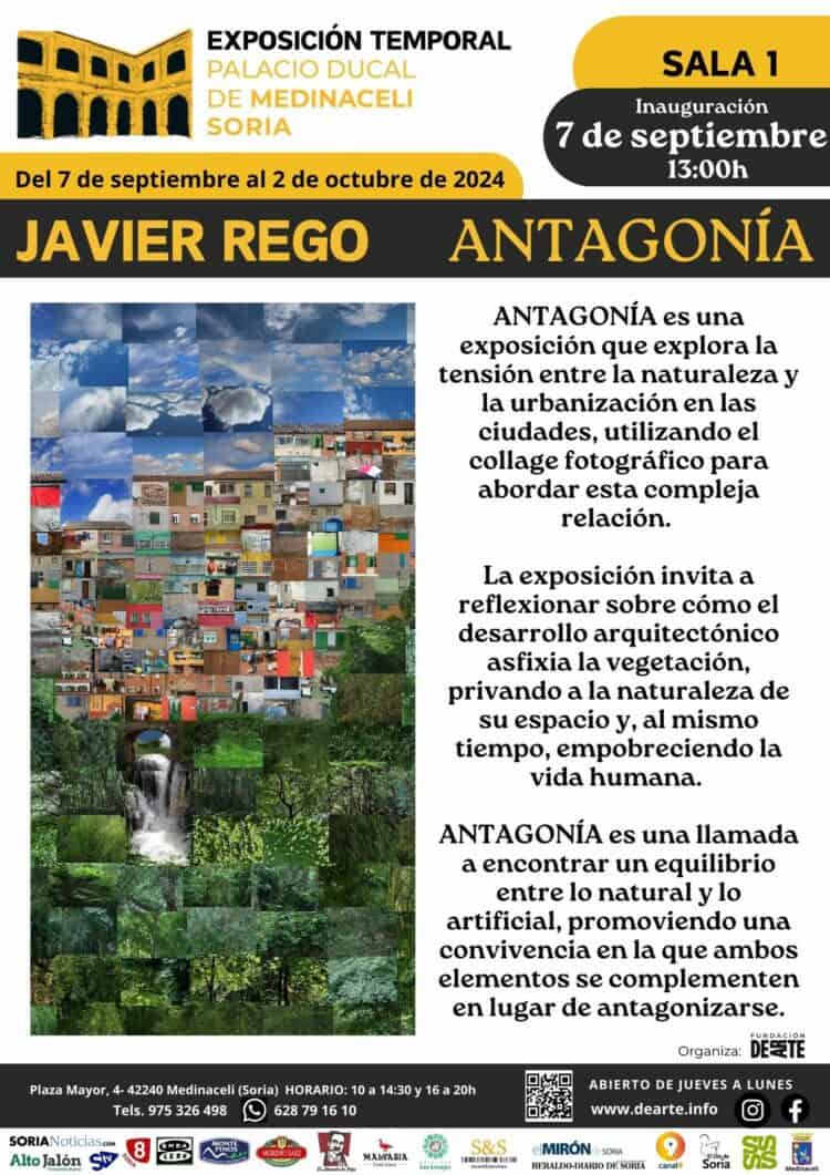 Exposición «Antagonía» de Javier Rego. Desde el 7 sept. EN ACTIVO EN SALA 1. Palacio Ducal de Medinaceli.
