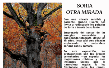 Cartel oficial de la exposición fotográfica "Soria Otra Mirada" de Ignacio Huarte en el Palacio Ducal de Medinaceli.