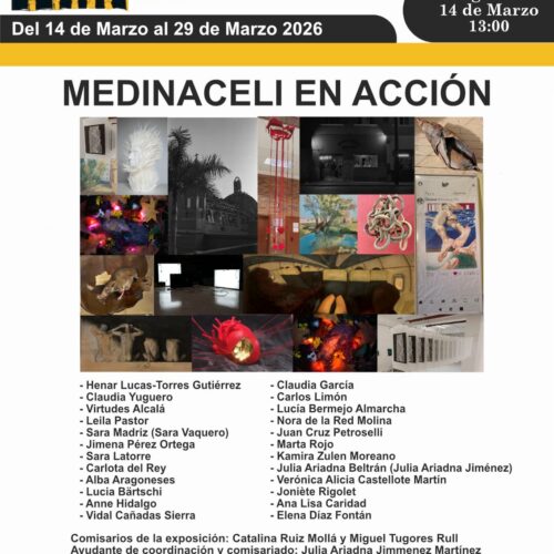 Medinaceli en Acción: alumnos de Bellas Artes de la Complutense exponen “Propuestas Pluridisciplinarias»